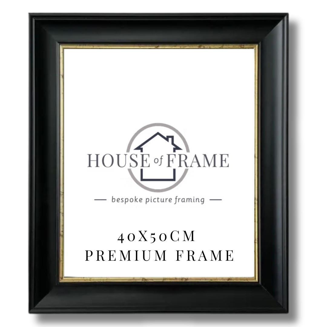 40X50CM Black & Gold Frame By House of Frame