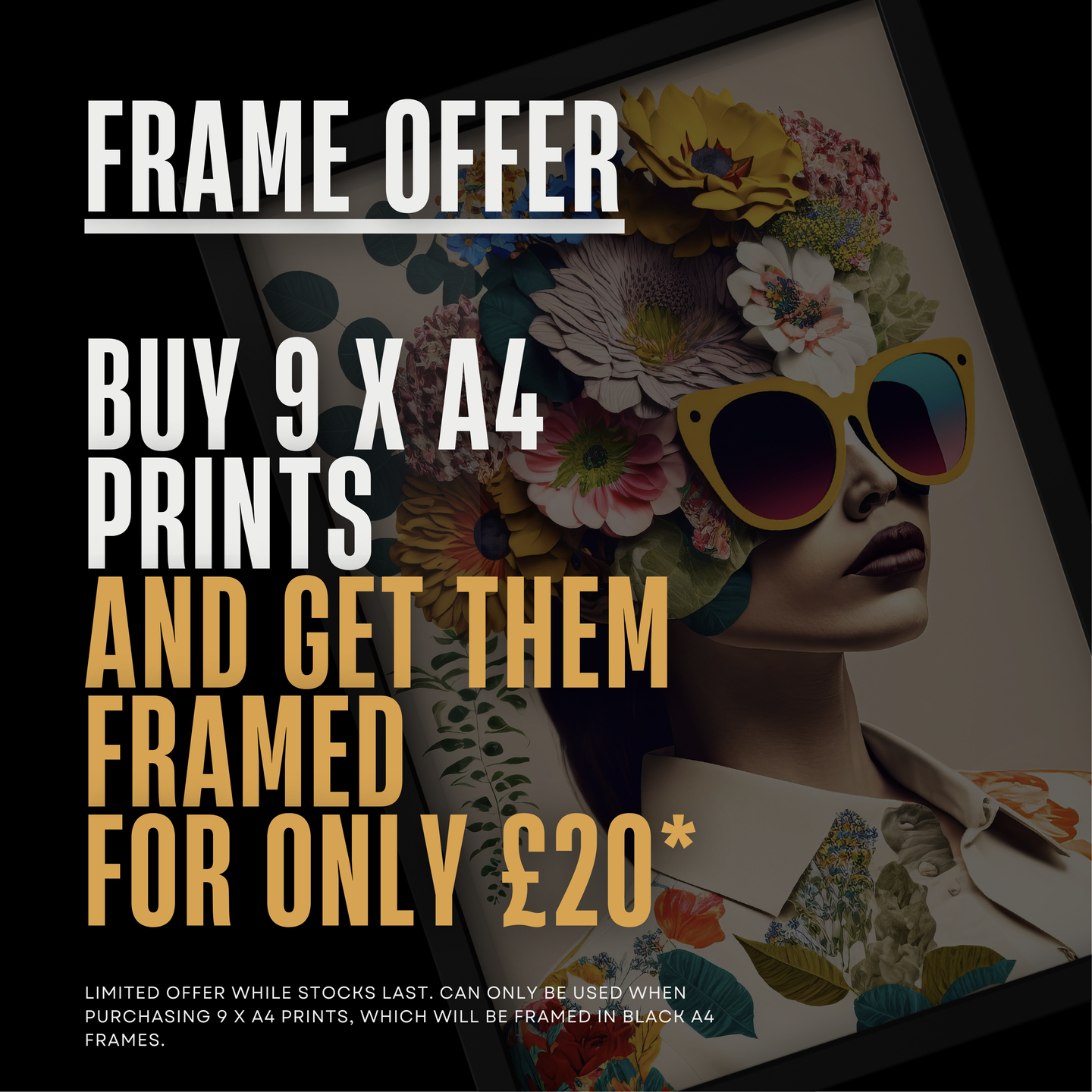 A4 Frame Bundle Offer