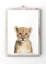 Load image into Gallery viewer, Baby Lion by Kathrin Pienaar
