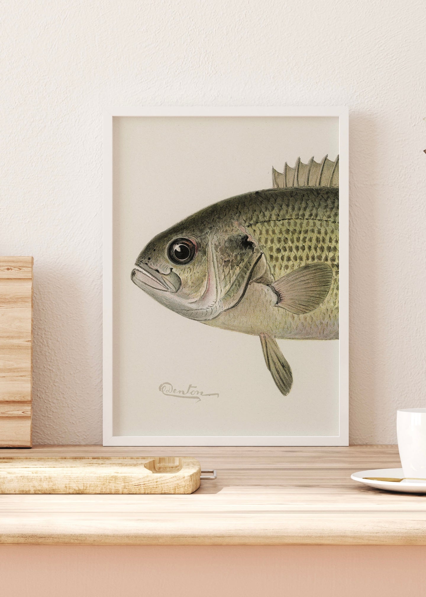 Kitchen Fish Print | Rock Bass Crop | By Sherman F. Denton