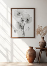 Load image into Gallery viewer, Transparent Botanic No1
