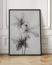 Load image into Gallery viewer, Transparent Botanic No 5
