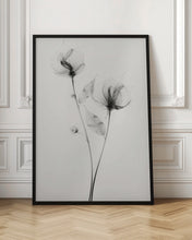 Load image into Gallery viewer, Transparent Botanic No 7
