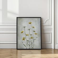 Load image into Gallery viewer, Summer Flowers
