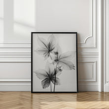 Load image into Gallery viewer, Transparent Botanic No 5
