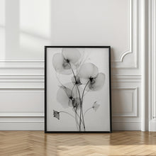 Load image into Gallery viewer, Transparent Botanic No1
