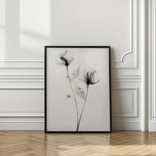 Load image into Gallery viewer, Transparent Botanic No 7
