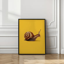 Load image into Gallery viewer, Snail Fast like Cheetah
