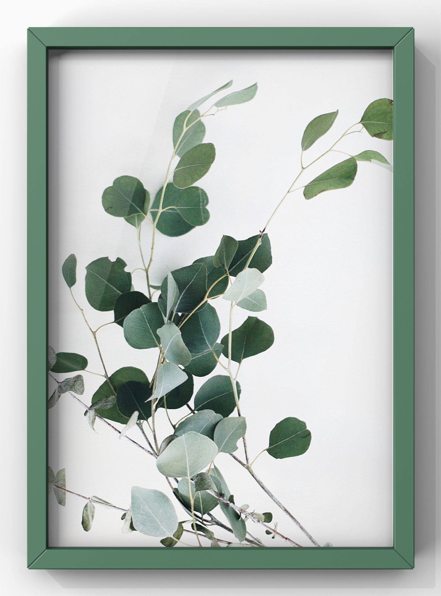 Eucalyptus Twig | Botanical Wall Art Print