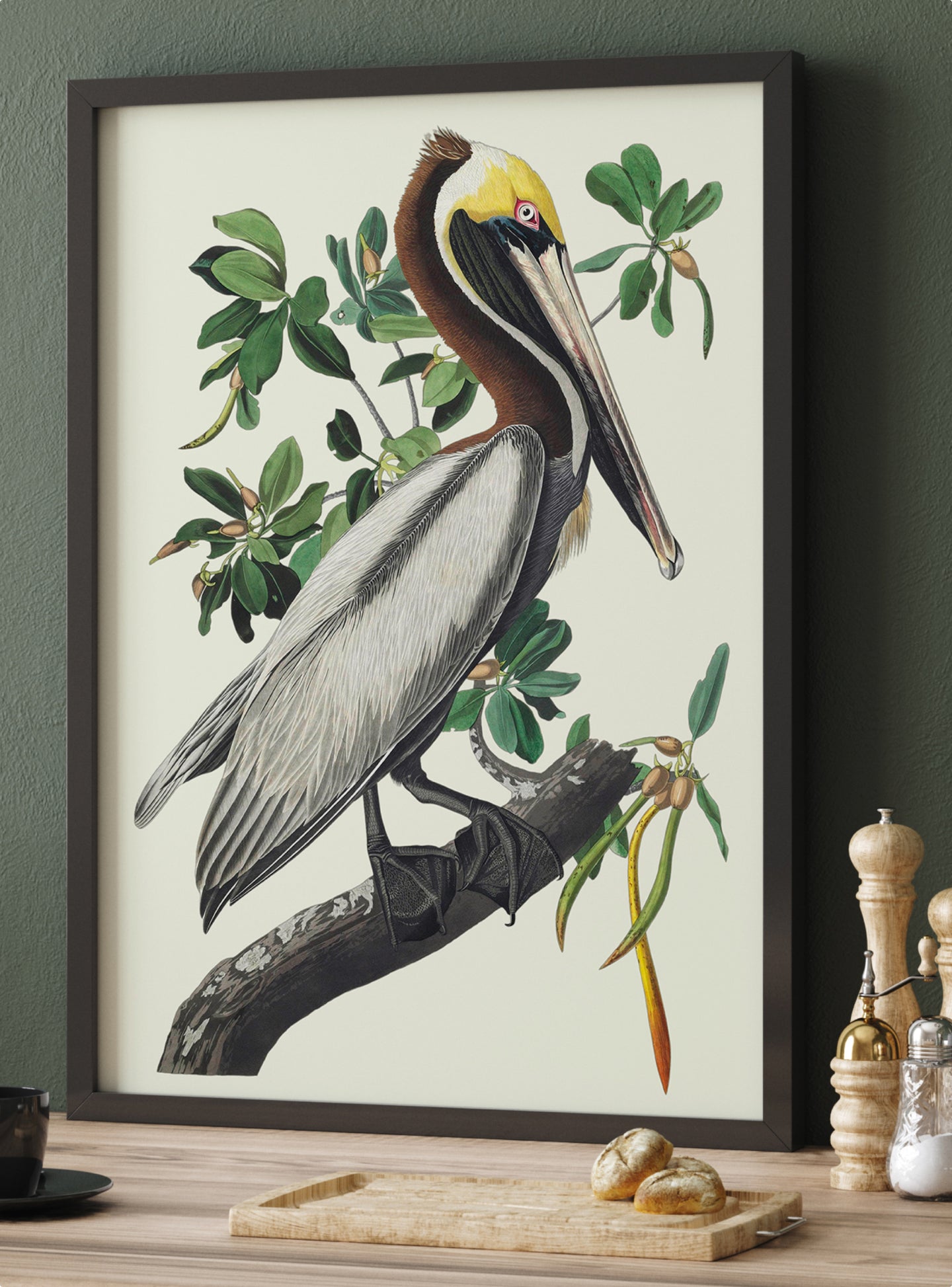 Vintage Bird Wall Art | Audubon Bird America Brown Pelican Art Print
