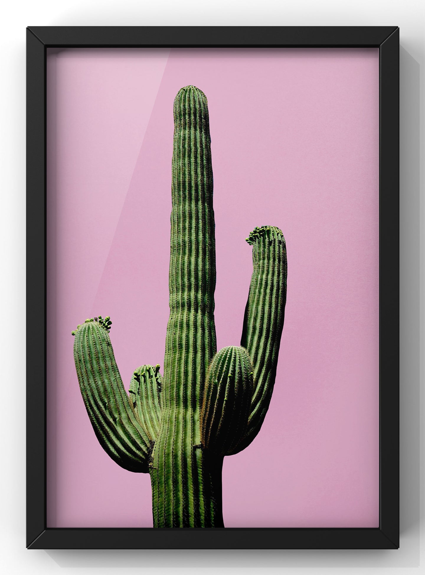 Cactus Pink Print | Wall Art Cactus