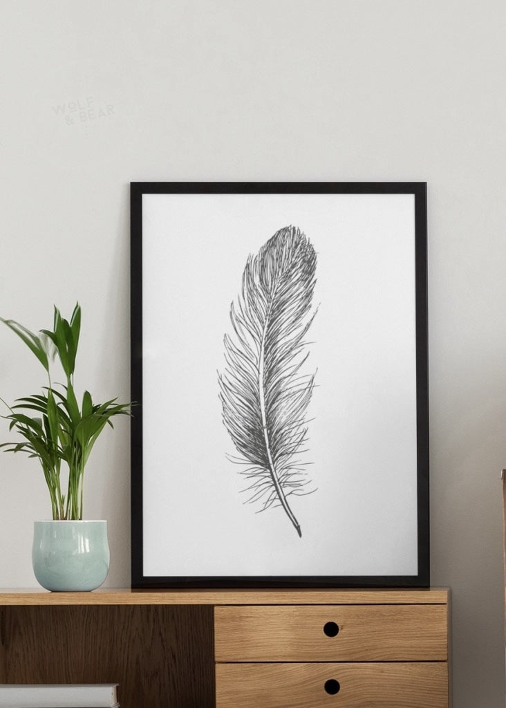 Mono Feather Illustration Print